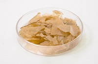 脫蠟脫色蟲(chóng)膠片3.jpg 脫蠟脫色蟲(chóng)膠片3.jpg