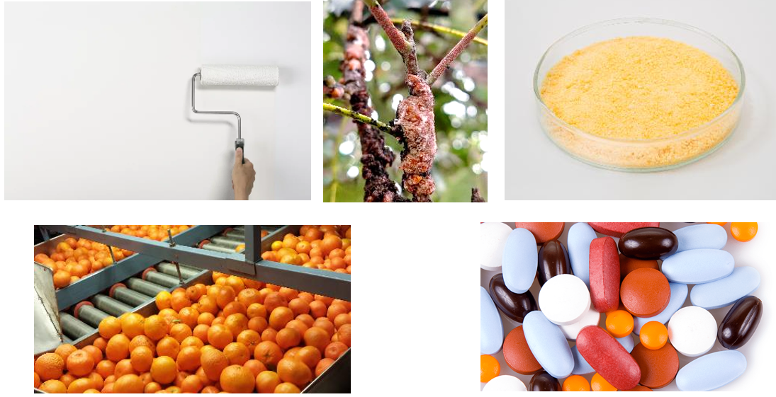 1715070112949.jpg 1715070112949.jpg